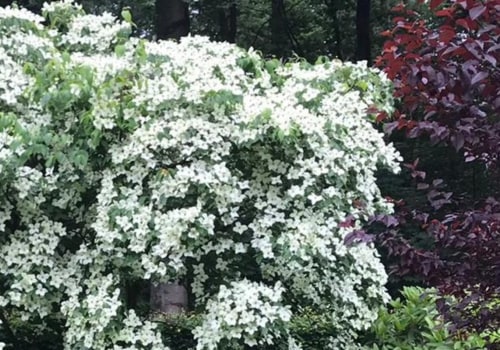 Hoeveel verdient een tuinman uk?