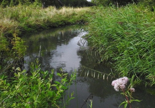 Hoeveel verdient een tuinbedrijf uk?